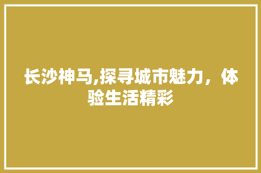 长沙神马,探寻城市魅力，体验生活精彩