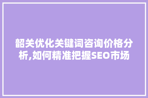 韶关优化关键词咨询价格分析,如何精准把握SEO市场脉搏