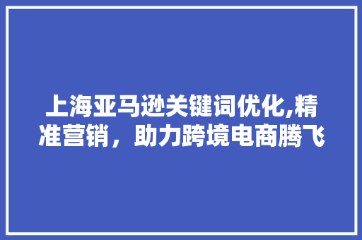 上海亚马逊关键词优化,精准营销，助力跨境电商腾飞
