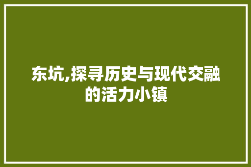 东坑,探寻历史与现代交融的活力小镇