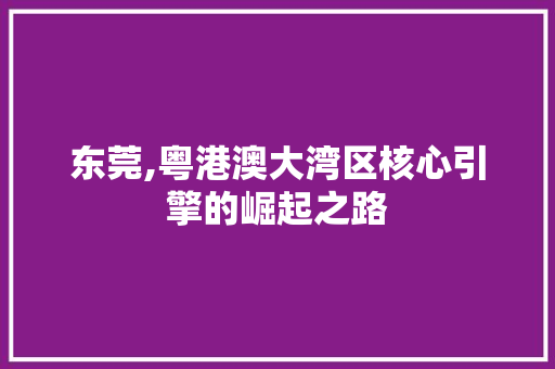 东莞,粤港澳大湾区核心引擎的崛起之路