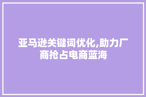 亚马逊关键词优化,助力厂商抢占电商蓝海