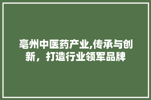 亳州中医药产业,传承与创新，打造行业领军品牌