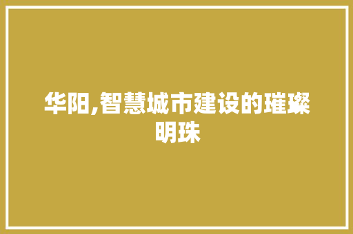 华阳,智慧城市建设的璀璨明珠