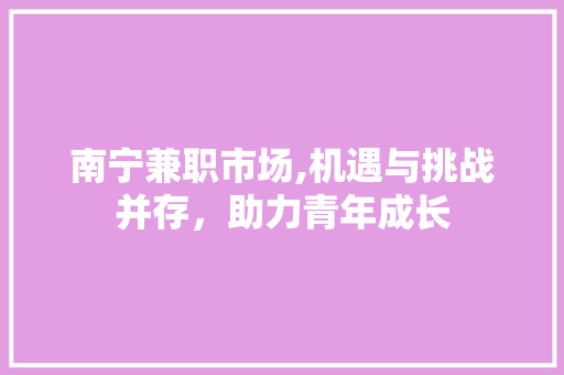 南宁兼职市场,机遇与挑战并存，助力青年成长