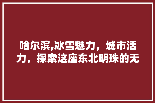 哈尔滨,冰雪魅力，城市活力，探索这座东北明珠的无限可能