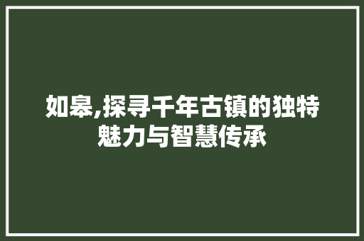 如皋,探寻千年古镇的独特魅力与智慧传承