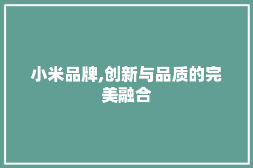小米品牌,创新与品质的完美融合