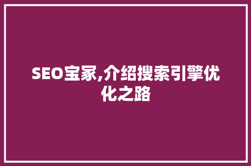 SEO宝冢,介绍搜索引擎优化之路