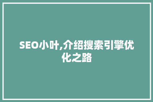 SEO小叶,介绍搜索引擎优化之路