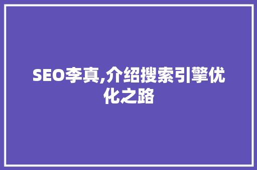 SEO李真,介绍搜索引擎优化之路