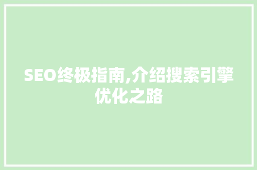 SEO终极指南,介绍搜索引擎优化之路