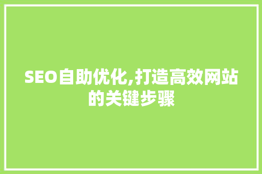 SEO自助优化,打造高效网站的关键步骤