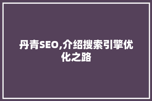 丹青SEO,介绍搜索引擎优化之路