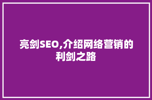 亮剑SEO,介绍网络营销的利剑之路