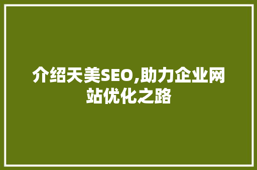 介绍天美SEO,助力企业网站优化之路