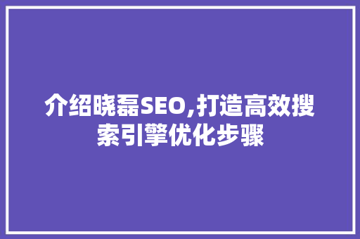 介绍晓磊SEO,打造高效搜索引擎优化步骤