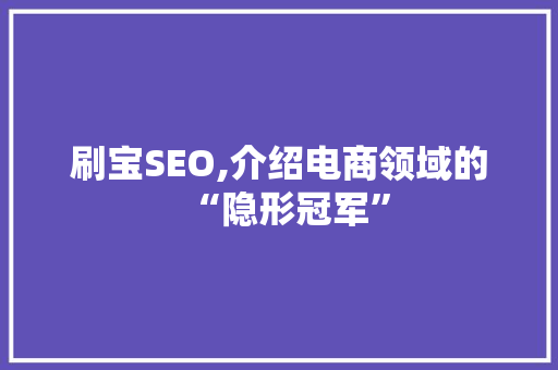 刷宝SEO,介绍电商领域的“隐形冠军”