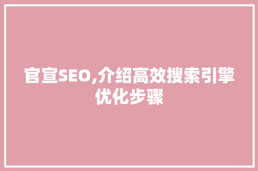 官宣SEO,介绍高效搜索引擎优化步骤