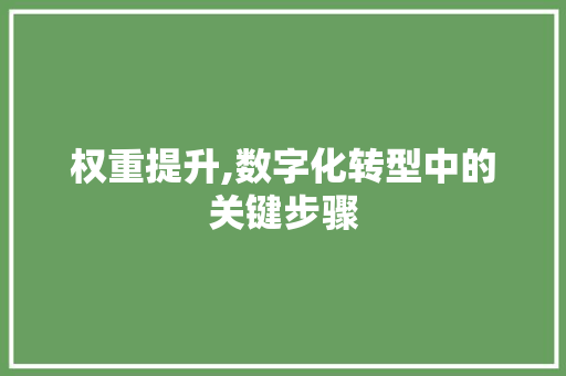 权重提升,数字化转型中的关键步骤