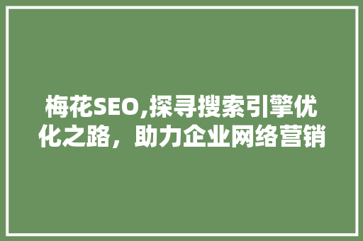 梅花SEO,探寻搜索引擎优化之路，助力企业网络营销