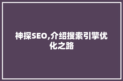 神探SEO,介绍搜索引擎优化之路