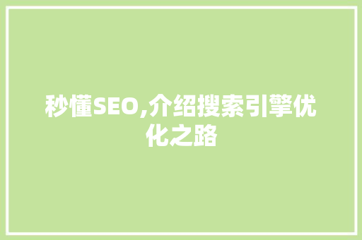 秒懂SEO,介绍搜索引擎优化之路