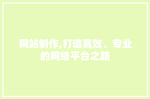 网站制作,打造高效、专业的网络平台之路