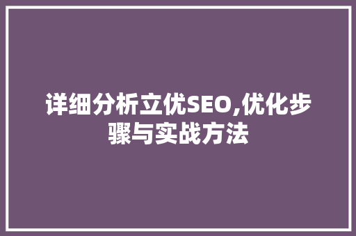 详细分析立优SEO,优化步骤与实战方法