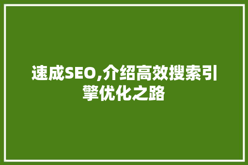 速成SEO,介绍高效搜索引擎优化之路