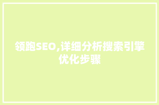 领跑SEO,详细分析搜索引擎优化步骤