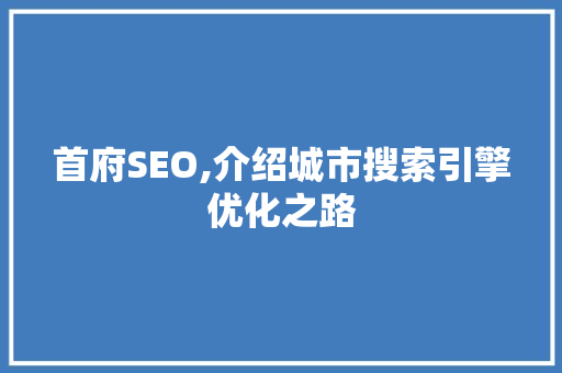 首府SEO,介绍城市搜索引擎优化之路