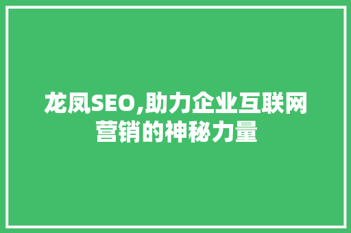 龙凤SEO,助力企业互联网营销的神秘力量
