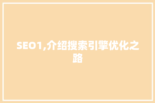 SEO1,介绍搜索引擎优化之路