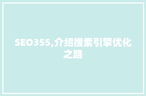 SEO355,介绍搜索引擎优化之路