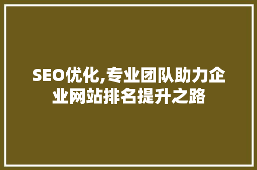 SEO优化,专业团队助力企业网站排名提升之路