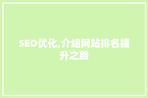 SEO优化,介绍网站排名提升之路