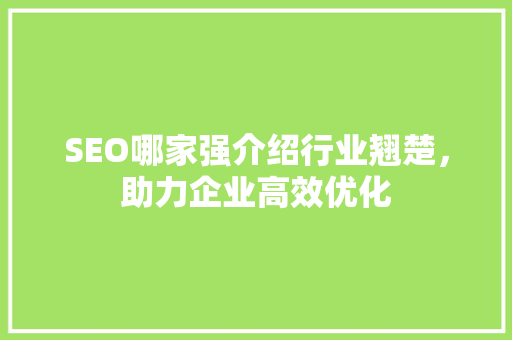SEO哪家强介绍行业翘楚，助力企业高效优化