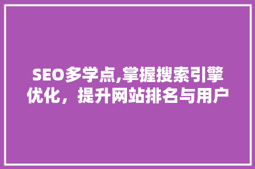 SEO多学点,掌握搜索引擎优化，提升网站排名与用户体验
