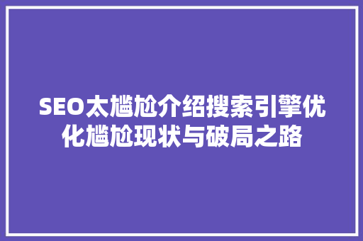 SEO太尴尬介绍搜索引擎优化尴尬现状与破局之路