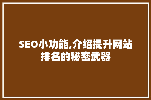 SEO小功能,介绍提升网站排名的秘密武器