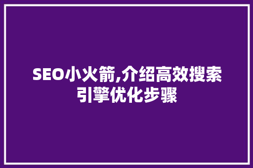 SEO小火箭,介绍高效搜索引擎优化步骤