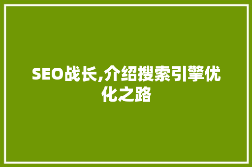 SEO战长,介绍搜索引擎优化之路