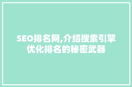 SEO排名网,介绍搜索引擎优化排名的秘密武器
