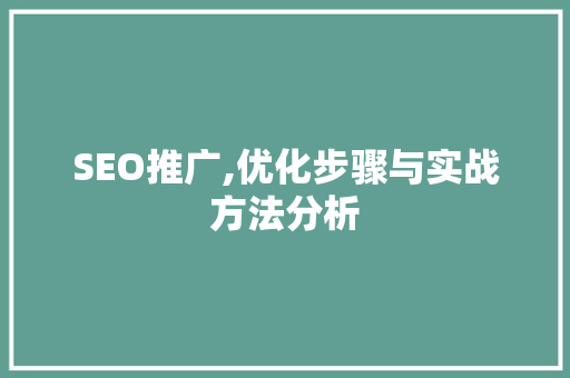 SEO推广,优化步骤与实战方法分析
