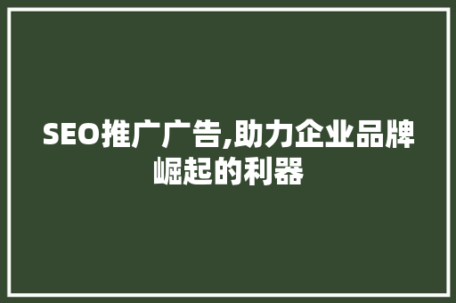 SEO推广广告,助力企业品牌崛起的利器