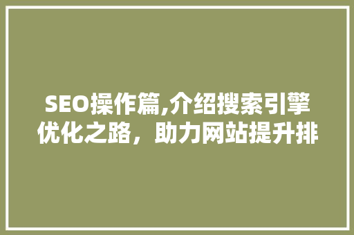 SEO操作篇,介绍搜索引擎优化之路，助力网站提升排名