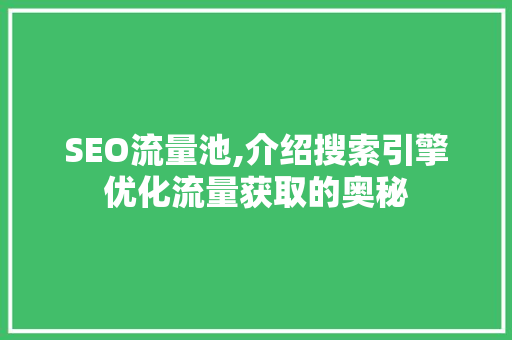 SEO流量池,介绍搜索引擎优化流量获取的奥秘