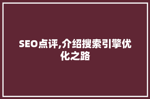 SEO点评,介绍搜索引擎优化之路