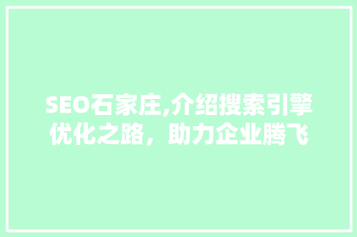 SEO石家庄,介绍搜索引擎优化之路，助力企业腾飞